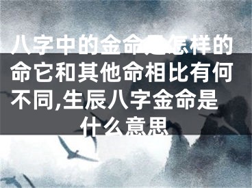 八字中的金命是怎样的命它和其他命相比有何不同,生辰八字金命是什么意思