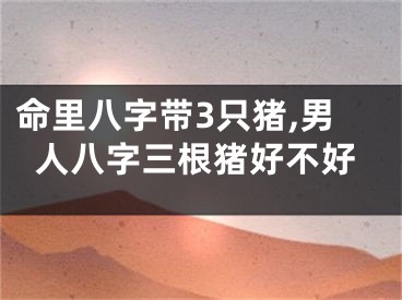 命里八字带3只猪,男人八字三根猪好不好