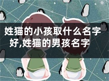 姓猫的小孩取什么名字好,姓猫的男孩名字