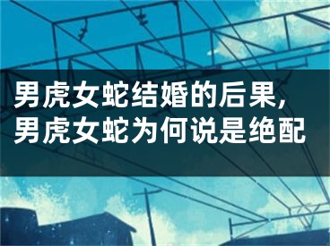 男虎女蛇结婚的后果,男虎女蛇为何说是绝配