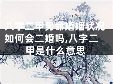 八字二甲男命婚姻状况如何会二婚吗,八字二甲是什么意思