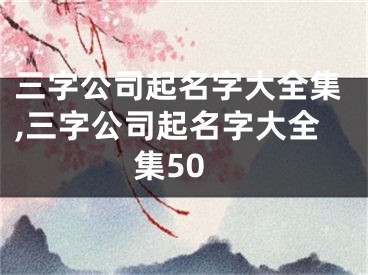 三字公司起名字大全集,三字公司起名字大全集50
