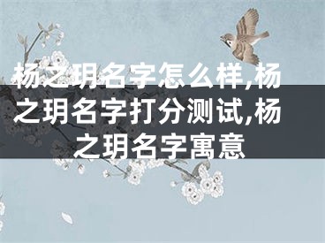 杨之玥名字怎么样,杨之玥名字打分测试,杨之玥名字寓意