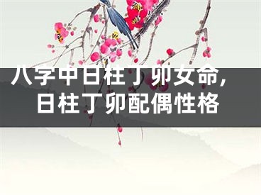 八字中日柱丁卯女命,日柱丁卯配偶性格