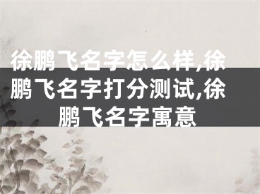 徐鹏飞名字怎么样,徐鹏飞名字打分测试,徐鹏飞名字寓意