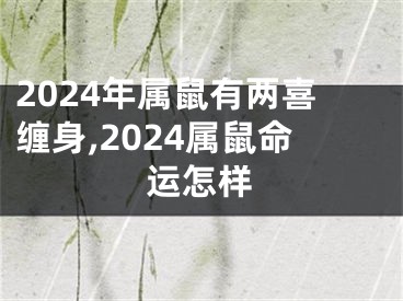 2024年属鼠有两喜缠身,2024属鼠命运怎样
