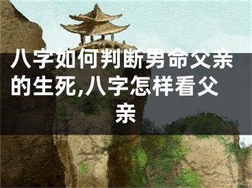 八字如何判断男命父亲的生死,八字怎样看父亲