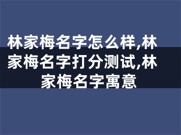 林家梅名字怎么样,林家梅名字打分测试,林家梅名字寓意