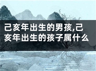 己亥年出生的男孩,己亥年出生的孩子属什么