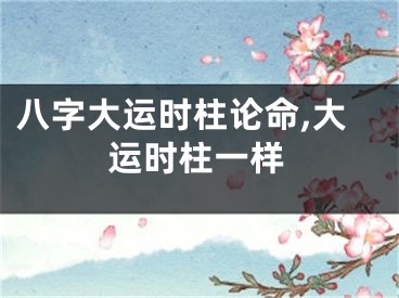 八字大运时柱论命,大运时柱一样