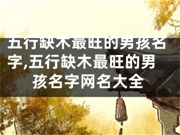 五行缺木最旺的男孩名字,五行缺木最旺的男孩名字网名大全
