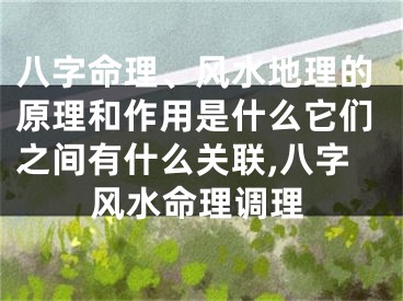 八字命理、风水地理的原理和作用是什么它们之间有什么关联,八字风水命理调理