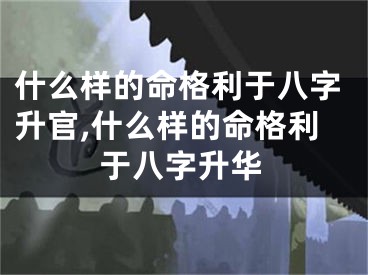 什么样的命格利于八字升官,什么样的命格利于八字升华