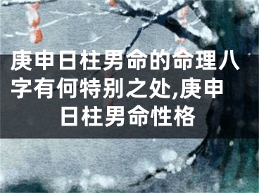 庚申日柱男命的命理八字有何特别之处,庚申日柱男命性格