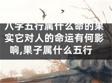 八字五行属什么命的果实它对人的命运有何影响,果子属什么五行