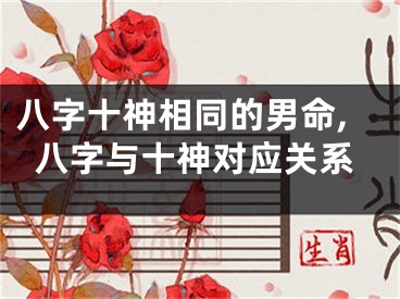 八字十神相同的男命,八字与十神对应关系
