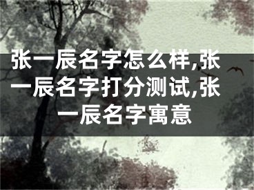 张一辰名字怎么样,张一辰名字打分测试,张一辰名字寓意