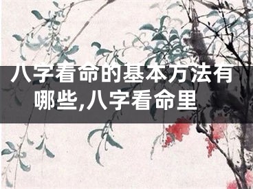 八字看命的基本方法有哪些,八字看命里