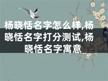 杨晓恬名字怎么样,杨晓恬名字打分测试,杨晓恬名字寓意