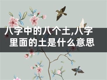 八字中的八个土,八字里面的土是什么意思