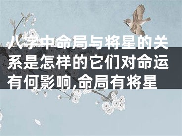 八字中命局与将星的关系是怎样的它们对命运有何影响,命局有将星