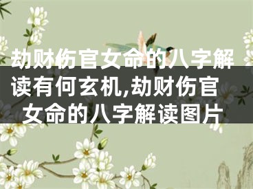劫财伤官女命的八字解读有何玄机,劫财伤官女命的八字解读图片