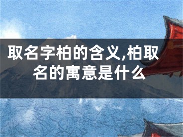 取名字柏的含义,柏取名的寓意是什么