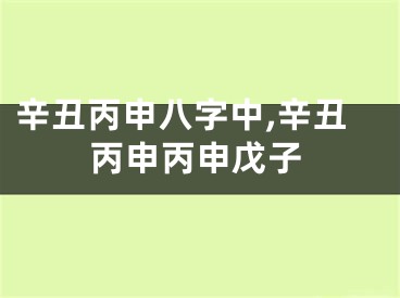 辛丑丙申八字中,辛丑丙申丙申戊子