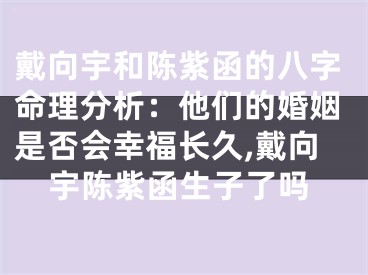 戴向宇和陈紫函的八字命理分析：他们的婚姻是否会幸福长久,戴向宇陈紫函生子了吗