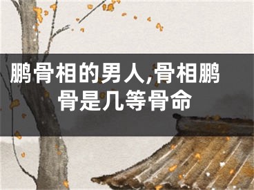 鹏骨相的男人,骨相鹏骨是几等骨命