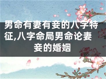 男命有妻有妾的八字特征,八字命局男命论妻妾的婚姻