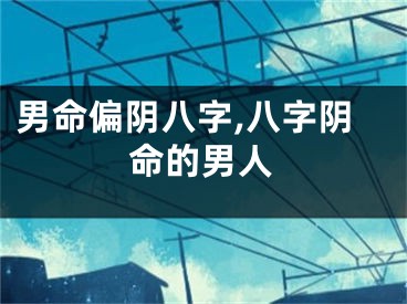 男命偏阴八字,八字阴命的男人