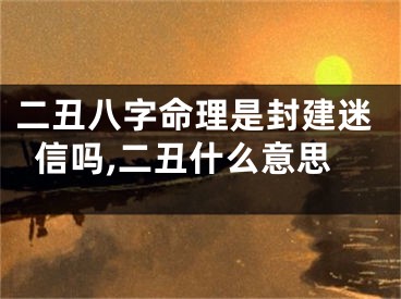 二丑八字命理是封建迷信吗,二丑什么意思