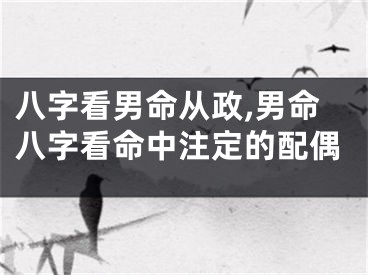八字看男命从政,男命八字看命中注定的配偶