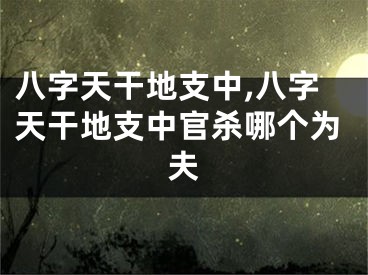 八字天干地支中,八字天干地支中官杀哪个为夫