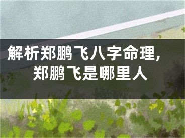 解析郑鹏飞八字命理,郑鹏飞是哪里人