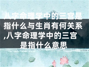 八字命理学中的三宫是指什么与生肖有何关系,八字命理学中的三宫是指什么意思