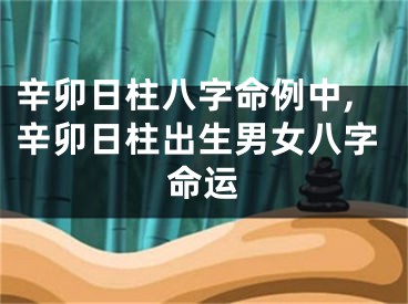 辛卯日柱八字命例中,辛卯日柱出生男女八字命运
