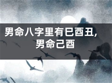 男命八字里有巳酉丑,男命己酉