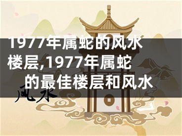 1977年属蛇的风水楼层,1977年属蛇的最佳楼层和风水