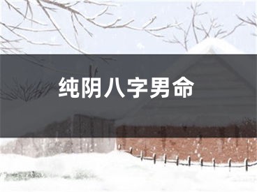 纯阴八字男命