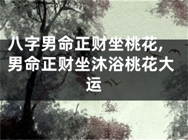 八字男命正财坐桃花,男命正财坐沐浴桃花大运