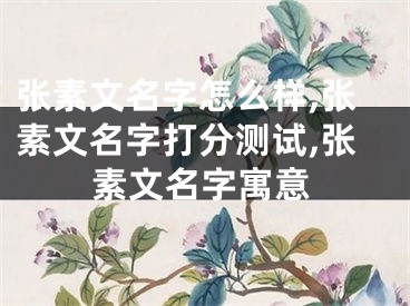 张素文名字怎么样,张素文名字打分测试,张素文名字寓意