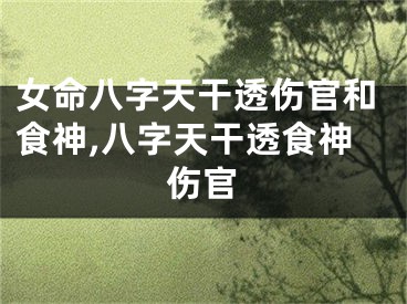 女命八字天干透伤官和食神,八字天干透食神伤官
