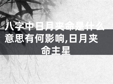 八字中日月夹命是什么意思有何影响,日月夹命主星
