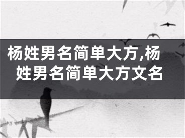 杨姓男名简单大方,杨姓男名简单大方文名