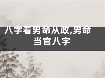 八字看男命从政,男命当官八字