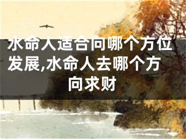 水命人适合向哪个方位发展,水命人去哪个方向求财