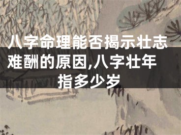 八字命理能否揭示壮志难酬的原因,八字壮年指多少岁