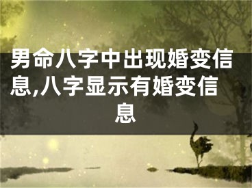男命八字中出现婚变信息,八字显示有婚变信息